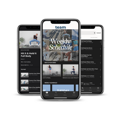 The Team Plans App - Annual Subscription